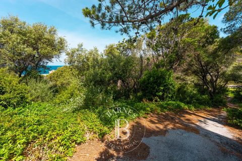 Tomt i Centuri, Haute-Corse, Centuri - € 480 000 | Ref: RV2145 - foto 2