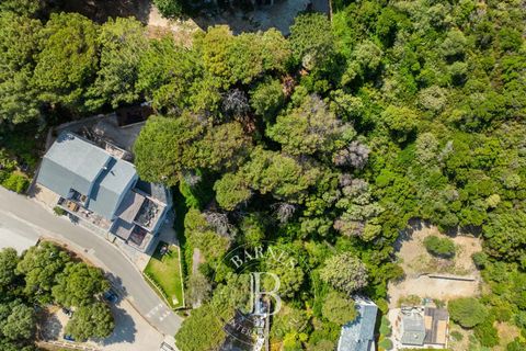 Tomt i Centuri, Haute-Corse, Centuri - € 480 000 | Ref: RV2145 - foto 3