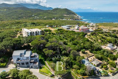 Tomt i Centuri, Haute-Corse, Centuri - € 480 000 | Ref: RV2145 - foto 4