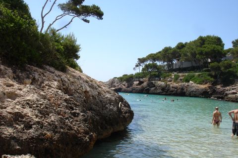 Helårsgrund i Manacor, Mallorca, Manacor - € 1.050.000 | Ref: MAN0700 - foto 13