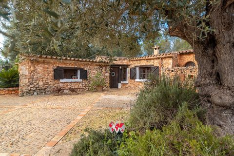 Landejendom i Sencelles, Mallorca, Sencelles - € 1.599.000 | Ref: R251 - foto 47