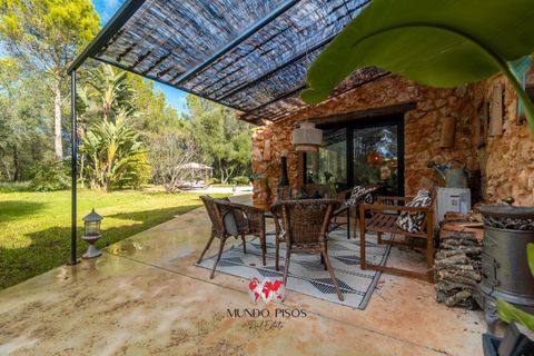 Landejendom i Sencelles, Mallorca, Sencelles - € 1.599.000 | Ref: R251 - foto 50