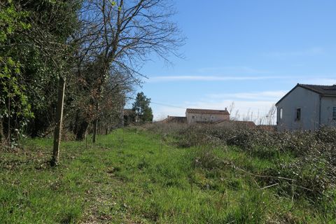 Terra a Bonnes, Vienne, Bonnes - € 32.000 | Ref: 13088 - foto 4