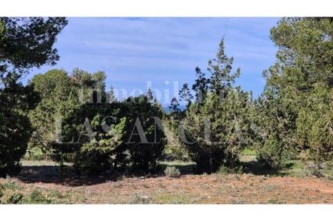 Terra a Cala Conta, Ibiza, Cala Conta - € 2.650.000 | Ref: 726-14 - foto 2