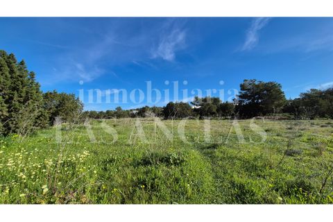 Terra a Cala Conta, Ibiza, Cala Conta - € 2.650.000 | Ref: 726-14 - foto 5