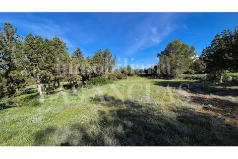 Terra a Cala Conta, Ibiza, Cala Conta - € 2.650.000 | Ref: 726-14 - foto 6