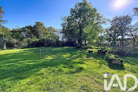 Villa a Le Bono, Morbihan, Le Bono - € 950/mes | Ref: 61781 - foto 11