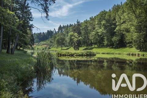 Leilighet i Lemberg, Moselle, Lemberg - € 10 350 000 | Ref: 109540 - foto 11