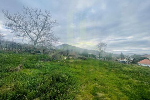Helårsgrund i Viana do Castelo, Viana do Castelo, Viana do Castelo - € 280.000 | Ref: B3032 - foto 4