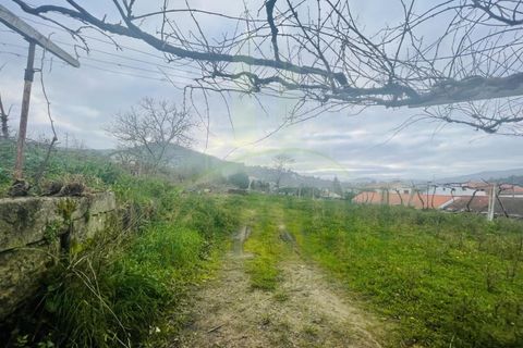 Helårsgrund i Viana do Castelo, Viana do Castelo, Viana do Castelo - € 280.000 | Ref: B3032 - foto 5