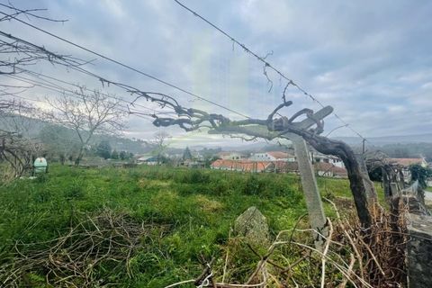 Helårsgrund i Viana do Castelo, Viana do Castelo, Viana do Castelo - € 280.000 | Ref: B3032 - foto 6