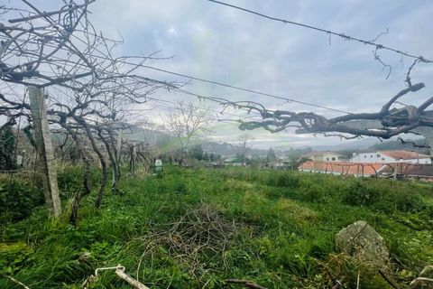Helårsgrund i Viana do Castelo, Viana do Castelo, Viana do Castelo - € 280.000 | Ref: B3032 - foto 7