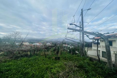 Helårsgrund i Viana do Castelo, Viana do Castelo, Viana do Castelo - € 280.000 | Ref: B3032 - foto 8