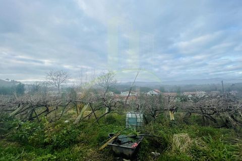 Helårsgrund i Viana do Castelo, Viana do Castelo, Viana do Castelo - € 280.000 | Ref: B3032 - foto 10