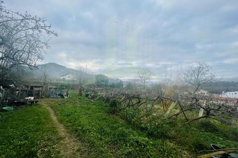 Helårsgrund i Viana do Castelo, Viana do Castelo, Viana do Castelo - € 280.000 | Ref: B3032 - foto 11