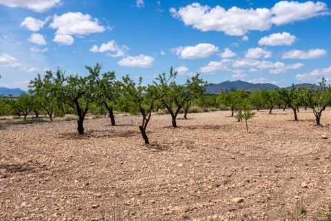 Terra a Pinoso, Alicante, Pinoso - € 47.950 | Ref: CF3337 - foto 2