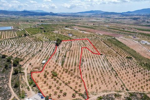 Terra a Pinoso, Alicante, Pinoso - € 47.950 | Ref: CF3337 - foto 3