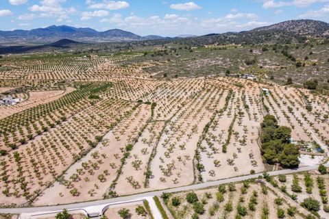 Terra a Pinoso, Alicante, Pinoso - € 47.950 | Ref: CF3337 - foto 8