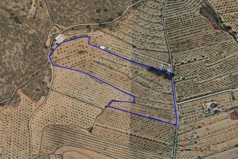 Terra a Pinoso, Alicante, Pinoso - € 47.950 | Ref: CF3337 - foto 10