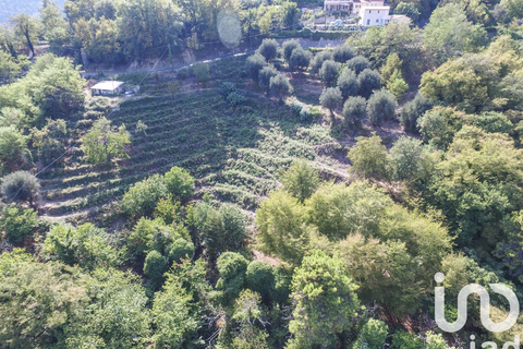 Terra a Sainte-Agnes, Alpes-Maritimes, Sainte-Agnes - € 918.000 | Ref: 86181 - foto 2