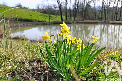 Villa i Lasseube, Pyrenees-Atlantiques, Lasseube - € 240.000 | Ref: 52464 - foto 16