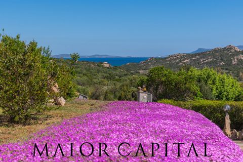 Villa i Olbia, Sassari, Olbia - € 840.000 | Ref: OLB-05-26 - foto 6