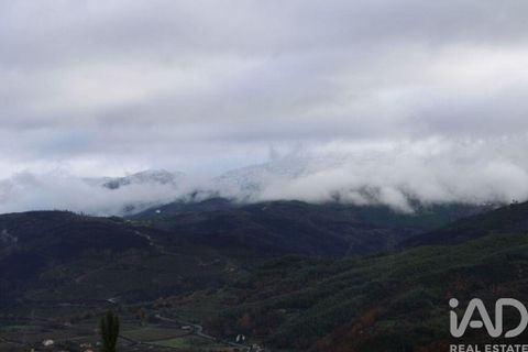 Terra a Seia, Guarda, Seia - € 15.700 | Ref: 911045 - foto 2