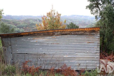 Terra a Seia, Guarda, Seia - € 15.700 | Ref: 911045 - foto 3