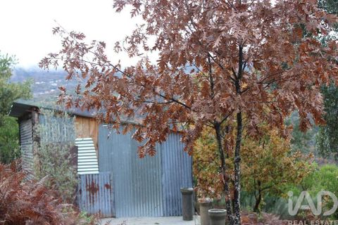 Terra a Seia, Guarda, Seia - € 15.700 | Ref: 911045 - foto 4