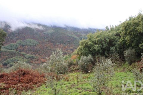 Terra a Seia, Guarda, Seia - € 15.700 | Ref: 911045 - foto 5
