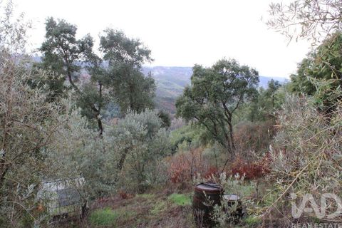 Terra a Seia, Guarda, Seia - € 15.700 | Ref: 911045 - foto 6