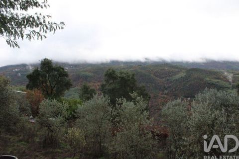 Terra a Seia, Guarda, Seia - € 15.700 | Ref: 911045 - foto 7