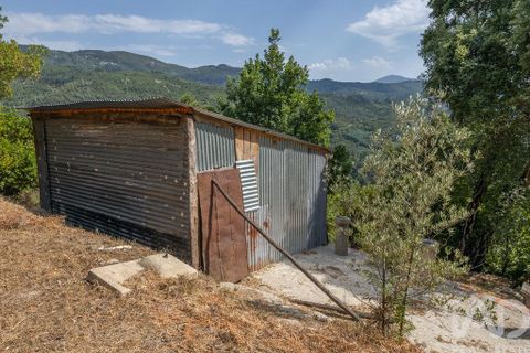 Tomt i Seia, Guarda, Seia - € 15 700 | Ref: 911045 - foto 2