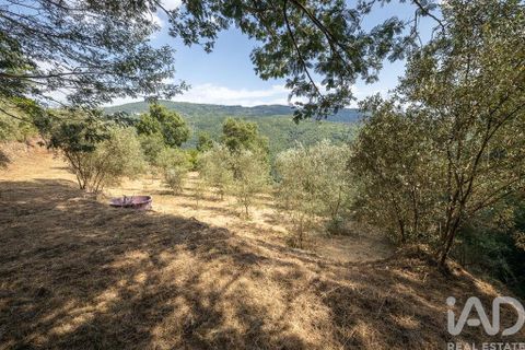 Tomt i Seia, Guarda, Seia - € 15 700 | Ref: 911045 - foto 6