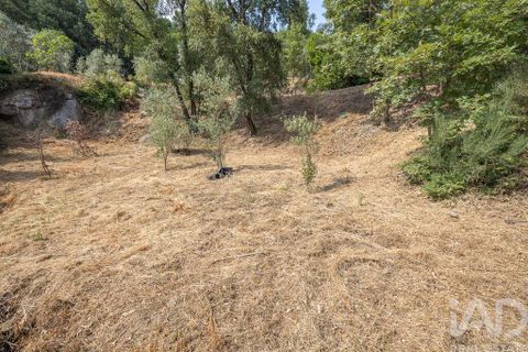 Tomt i Seia, Guarda, Seia - € 15 700 | Ref: 911045 - foto 8