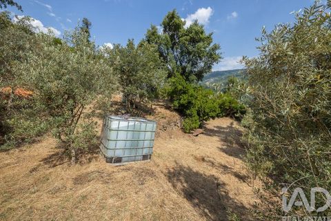 Tomt i Seia, Guarda, Seia - € 15 700 | Ref: 911045 - foto 9