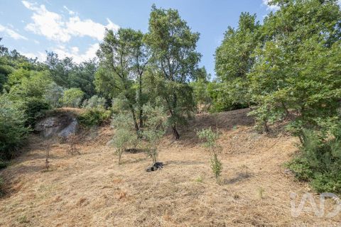 Tomt i Seia, Guarda, Seia - € 15 700 | Ref: 911045 - foto 10