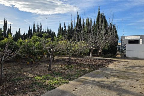 Villa a Vinaros, Castellon, Vinaros - € 220.000 | Ref: C-1519/6911 - foto 15