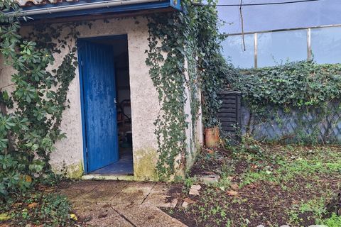 Villa a Arcachon, Gironde, Arcachon - € 720.000 | Ref: 14783 - foto 4