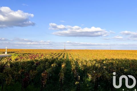 Villa a Nuits-Saint-Georges, Cote-d'Or, Nuits-Saint-Georges - € 408.000 | Ref: 88291 - foto 16