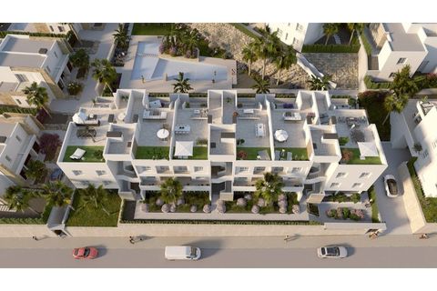 Apartamento en Algorfa, Alicante, Algorfa - € 299.000 | Ref: 31920513-01 - photo 15