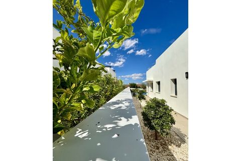 Villa a Benijofar, Alicante, Benijofar - € 589.000 | Ref: 87949520-01 - foto 33