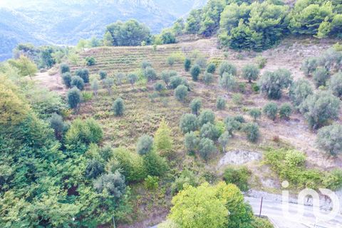 Terra a Sainte-Agnes, Alpes-Maritimes, Sainte-Agnes - € 830.000 | Ref: 86181 - foto 2