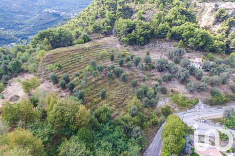 Terra a Sainte-Agnes, Alpes-Maritimes, Sainte-Agnes - € 830.000 | Ref: 86181 - foto 3