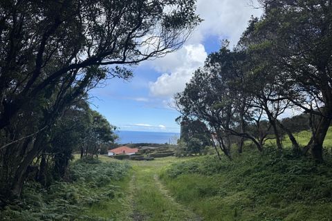 Byhus i Horta, Faial, Horta - € 369.000 | Ref: 1166 - foto 16