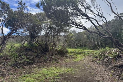 Byhus i Horta, Faial, Horta - € 369.000 | Ref: 1166 - foto 24