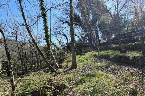 Terra a Coaraze, Alpes-Maritimes, Coaraze - € 179.000 | Ref: 73185 - foto 7