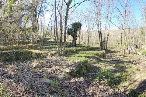 Terra a Coaraze, Alpes-Maritimes, Coaraze - € 179.000 | Ref: 73185 - foto 15