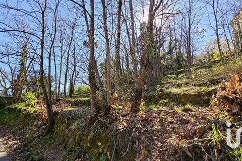 Terra a Coaraze, Alpes-Maritimes, Coaraze - € 179.000 | Ref: 73185 - foto 20