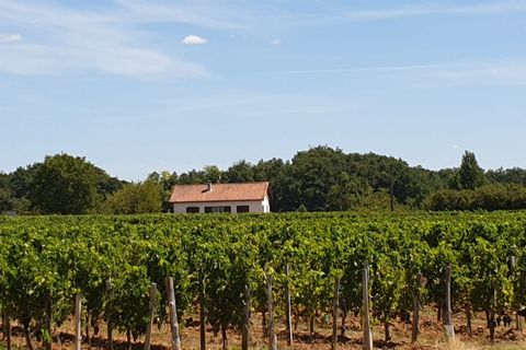 Villa i Puisseguin, Gironde, Puisseguin - € 239.200 | Ref: 16163 - foto 9